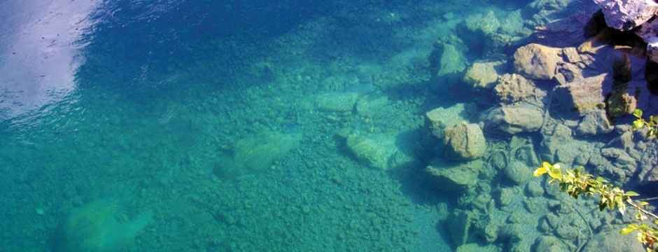 SIGHT-FISHING IN DEEP, CLEAR POOLS FOR SALMON